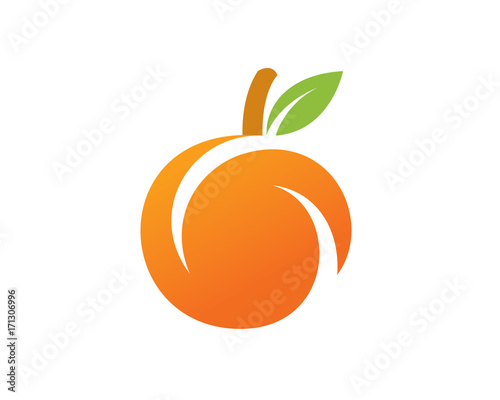 Orange and Fruit Logo
