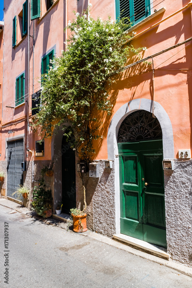 Fototapeta premium wooden door in an italian village