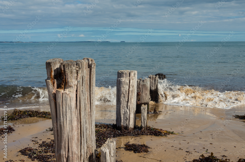 Remains of an old pier on Balnarring Beach on the Mornington Peninsula. Remains of an old pier on Balnarring Beach on the Mornington Peninsula.