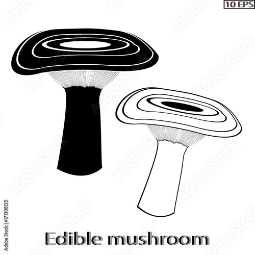 Mushrooms. Black icon. Edible fungus. Illustration to culinary sites or cook book. Recipe mushrooms, vegetarian menu, kitchen interior design. Vector illustration.