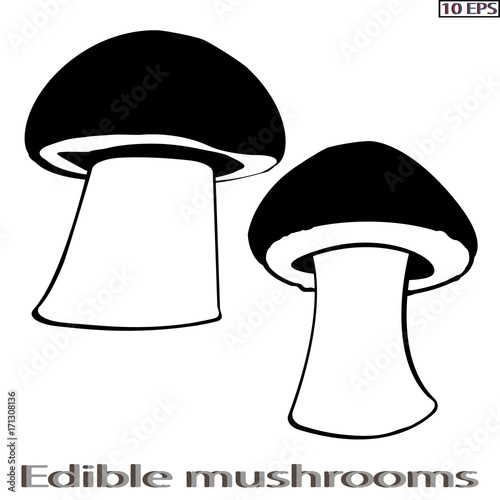 Mushrooms. Black icon. Edible fungus. Illustration to culinary sites or cook book. Recipe mushrooms, vegetarian menu, kitchen interior design. Vector illustration.