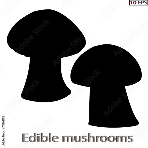 Mushrooms. Black icon. Edible fungus. Illustration to culinary sites or cook book. Recipe mushrooms, vegetarian menu, kitchen interior design. Vector illustration.
