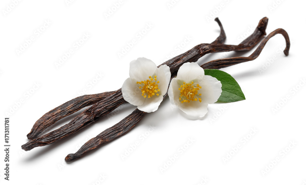 Fototapeta premium Vanilla sticks with jasmine flower
