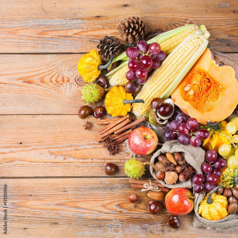 Fall autumn harvest background with pumpkin apple chestnut corn Fall autumn harvest background with pumpkin apple chestnut corn