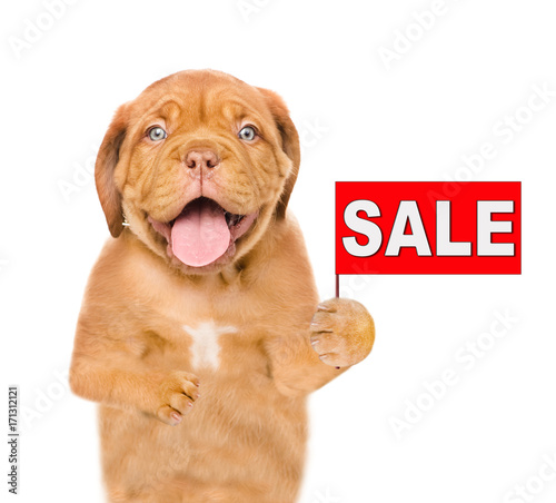 Funny puppy with sales symbol. isolated on white background
