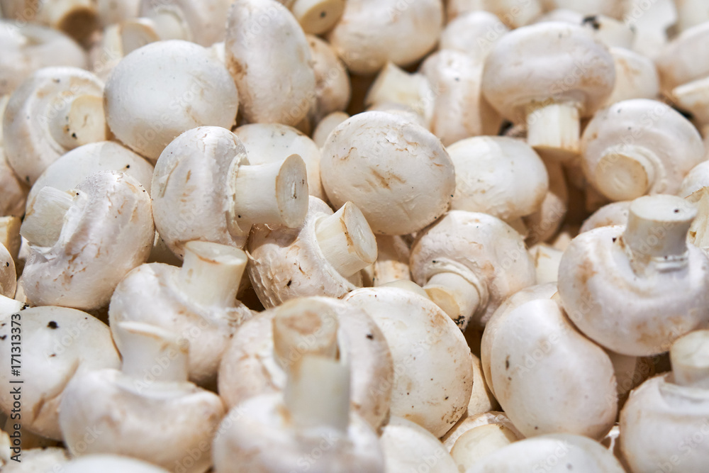 Delicious fresh mushrooms on the counter in the shop Delicious fresh mushrooms on the counter in the shop
