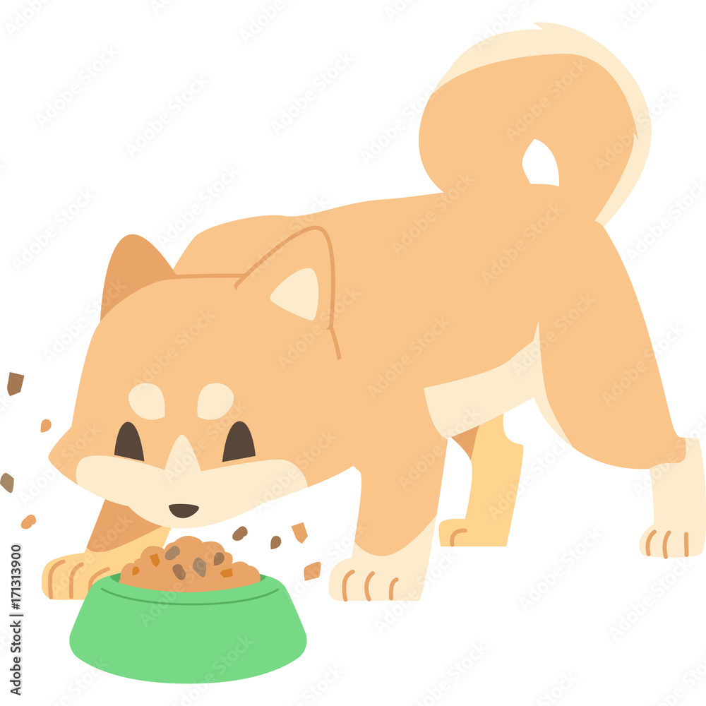 餌を食べる犬 柴犬 Stock イラスト Adobe Stock
