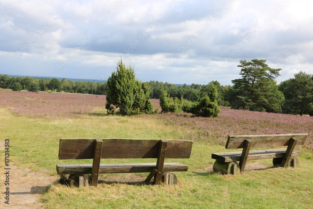 Bänke in der Lüneburger Heide laden zum Verweilen ein Bänke in der Lüneburger Heide laden zum Verweilen ein