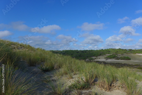 Strand bei Montalivet Frankreich