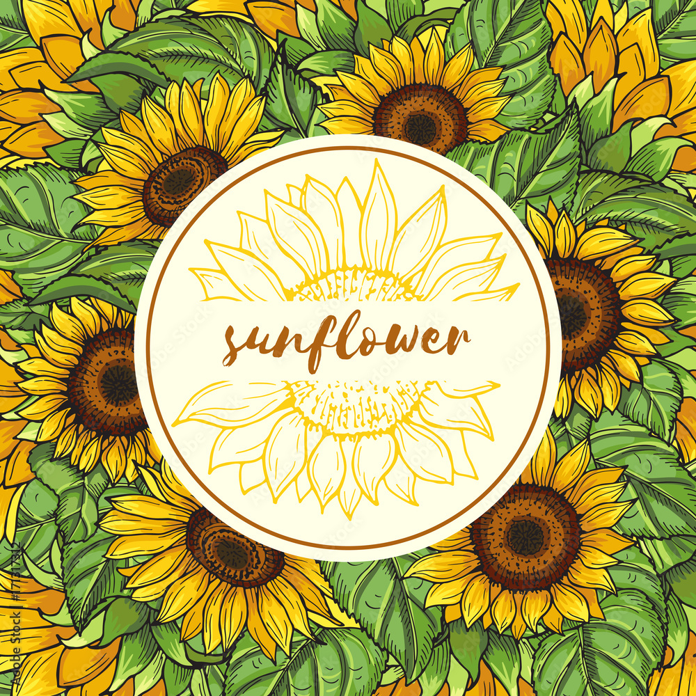 Background illustration with sunflowers and place for your text