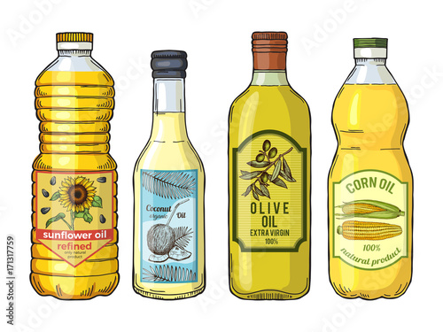 Labels for different oils. Sunflower, olive, corn and coconut. Vector pictures set