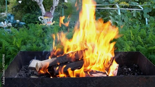Birch firewood burns