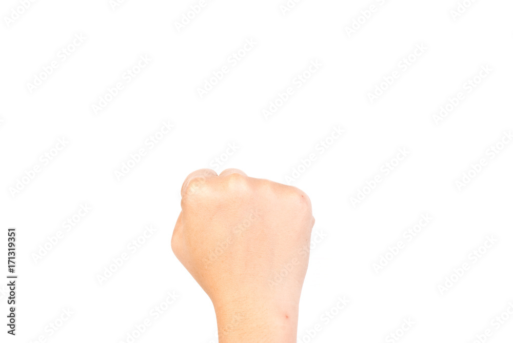 Hand isolated on the white background. Hand isolated on the white background.