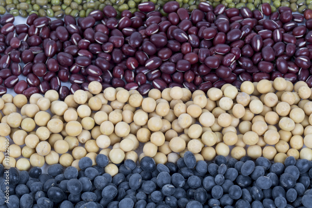 Different colorful beans close up, soybeans, black beans, mung beans,red beans.
Different colorful beans close up, soybeans, black beans, mung beans,red beans.