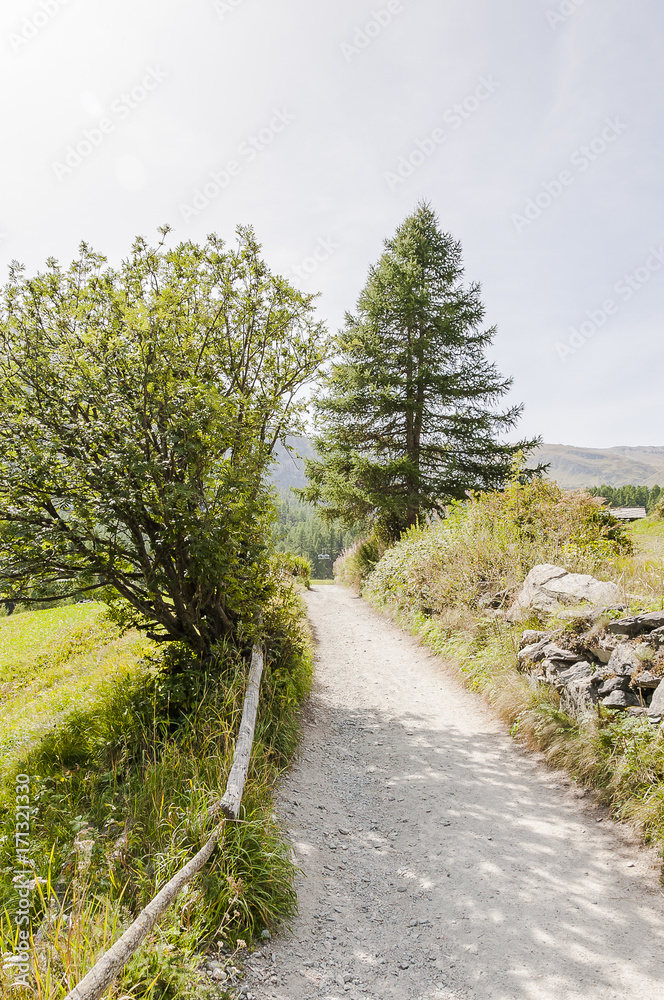 Zermatt, Furi, Zmutt, zum See, Blatten, Wanderweg, Spazieren, Matterhorn, Wallis, Alpen, Schweizer Berge, Sommer, Wallis, Schweiz Zermatt, Furi, Zmutt, zum See, Blatten, Wanderweg, Spazieren, Matterhorn, Wallis, Alpen, Schweizer Berge, Sommer, Wallis, Schweiz