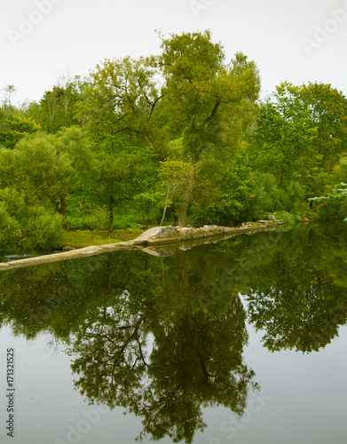 A beautiful reflected landscape of a forest near the river. Green autumn scenery. photo