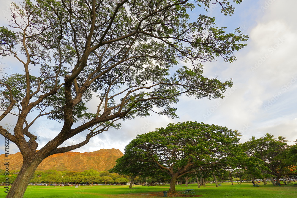 Fototapeta premium ダイアモンドヘッド