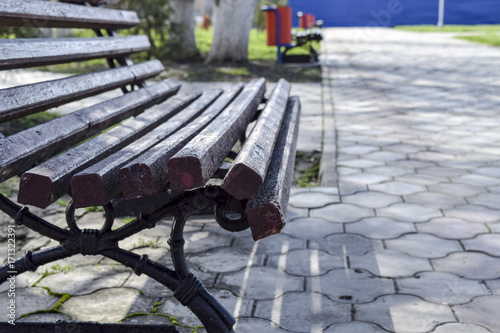 Wallpaper Mural A brown bench in the park. The park infrastructure. Walking in the park. Torontodigital.ca