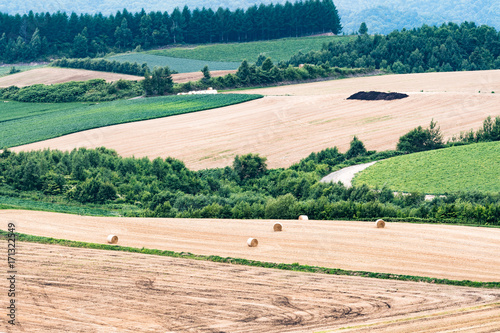 Landscape of the ranch of Hokkaido