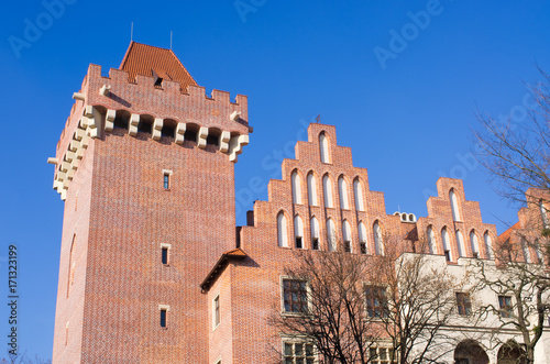 The castle of Poznan, Poland