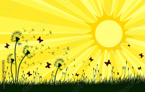 Landscape with dandelions and sun.