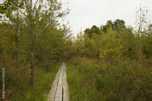 Wooden trail through the wetland at Bean Blossom Bottoms wetland preserve in Southern, Indiana.