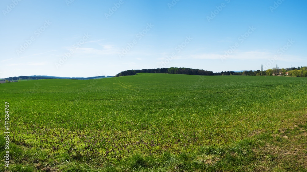 Spring field