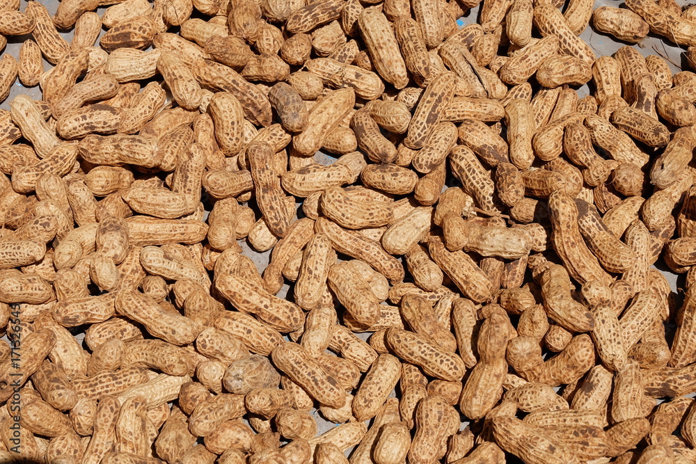 peanut peanut