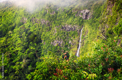 Wonderful panorama of waterfall Black River Gorges and jungle around it, Mauritius.
 photo