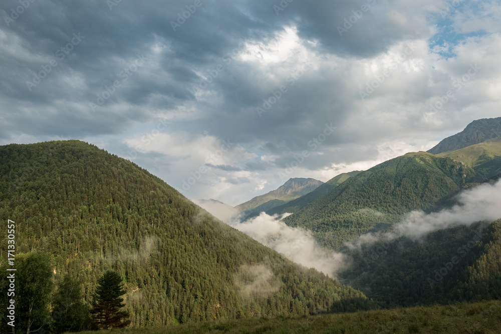 mountains covered with pine forests and the sky with dark clouds on a summer evening