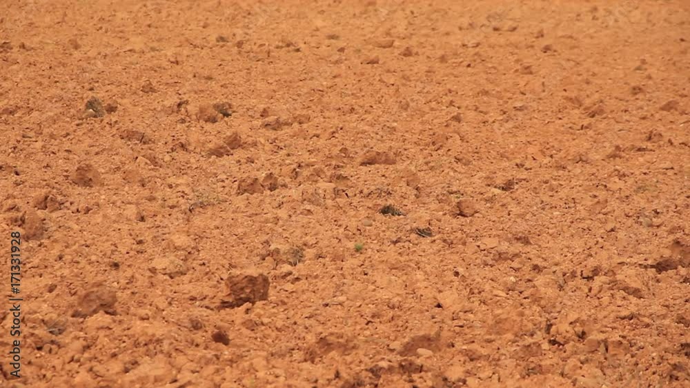 Detalle de suelo arado de tierra arcillosa