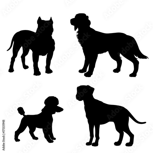 Black silhouette of dogs (Dalmatian, Poodle, Irish Setter, Pitbull) on white background.