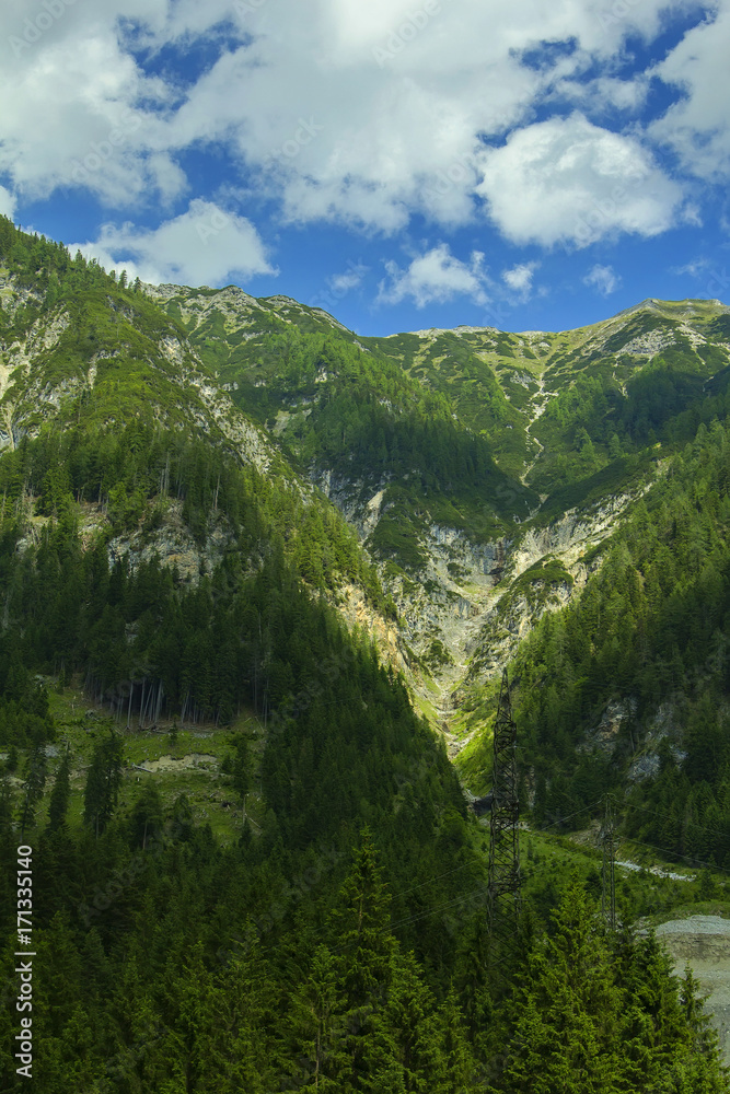 background landscape view of the snowy peaks of the Alps and the Coniferous forest In the Tyrol