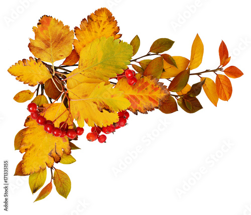 Autumn leaves and red berries in a corner arrangement