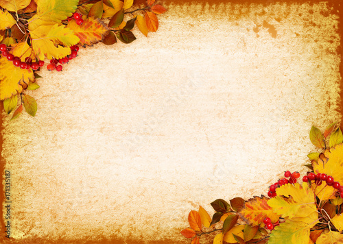 Autumn leaves and red berri...