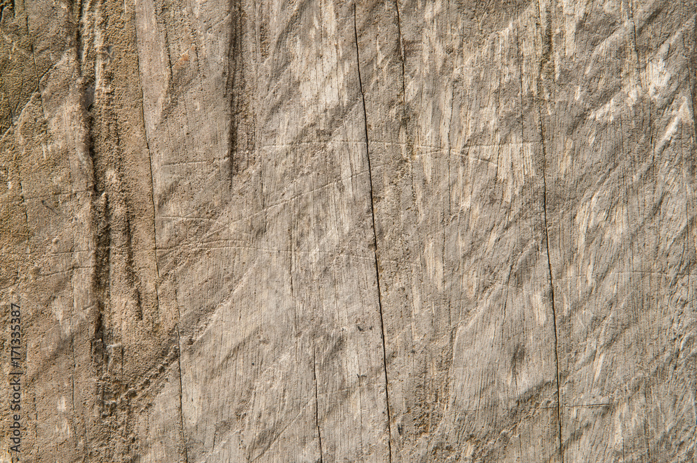 Fototapeta premium Old wooden texture.