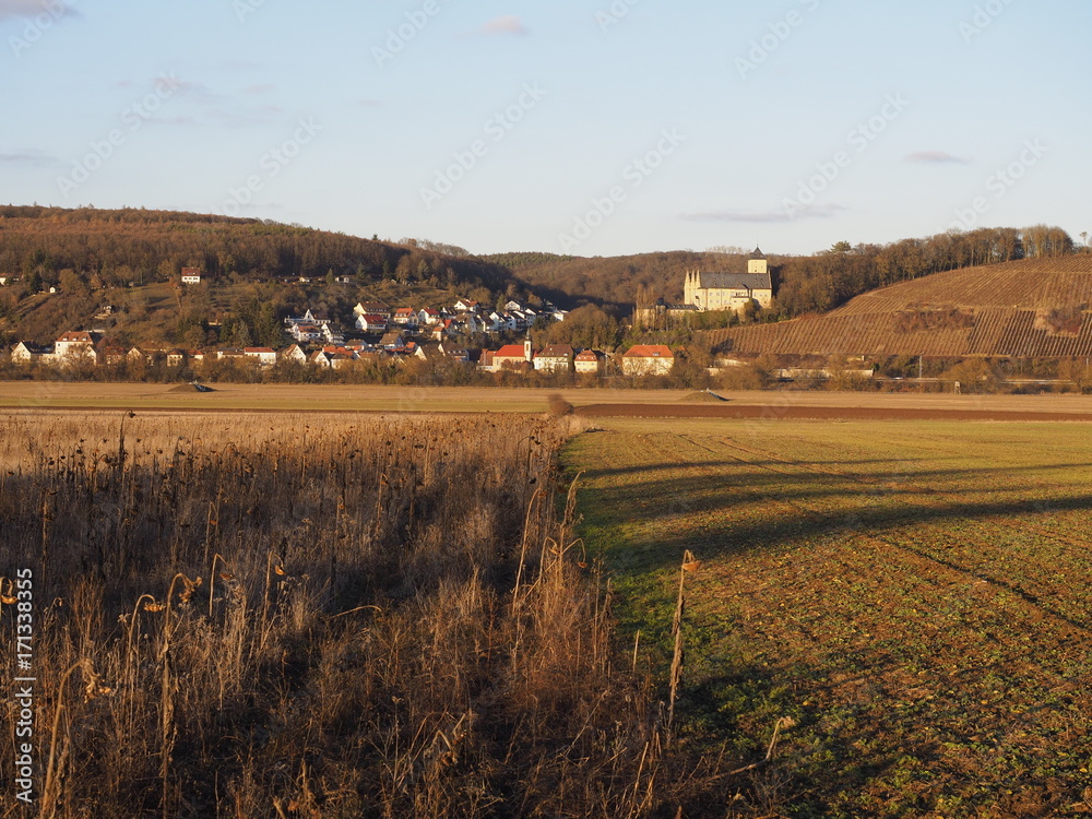 Obraz premium Das Maintal bei Schweinfurt am Main, Unterfranken, Franken, Bayern, Deutschland