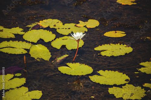Photography Индия