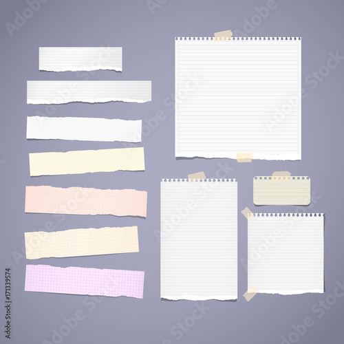 Torn ruled, note, notebook, copybook paper strips, sheets stuck with sticky tape on gray background.