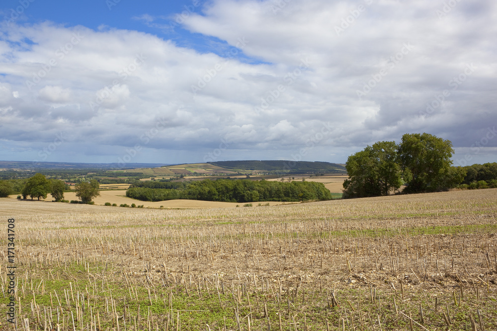 yorkshire wolds arable