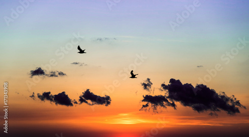 Early morning sunrise over the sea and a birds