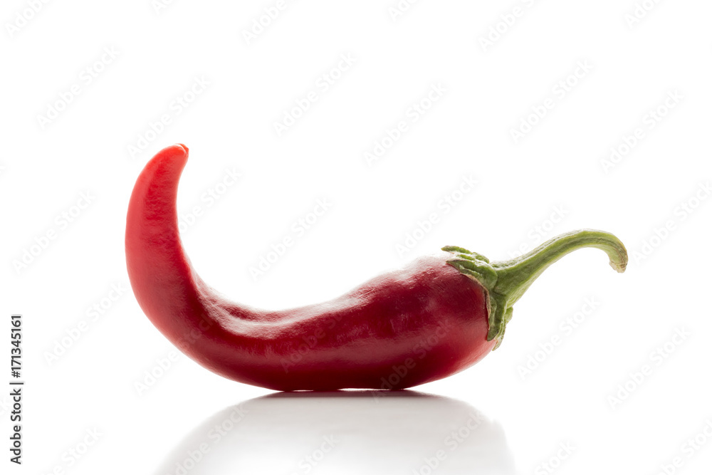 Chili pepper red hot bitter on a white background. Chili pepper red hot bitter on a white background.