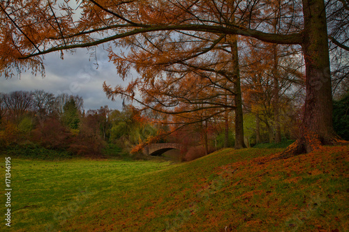 Arch Bridge in Beautiful Autumn Colorful Landscape