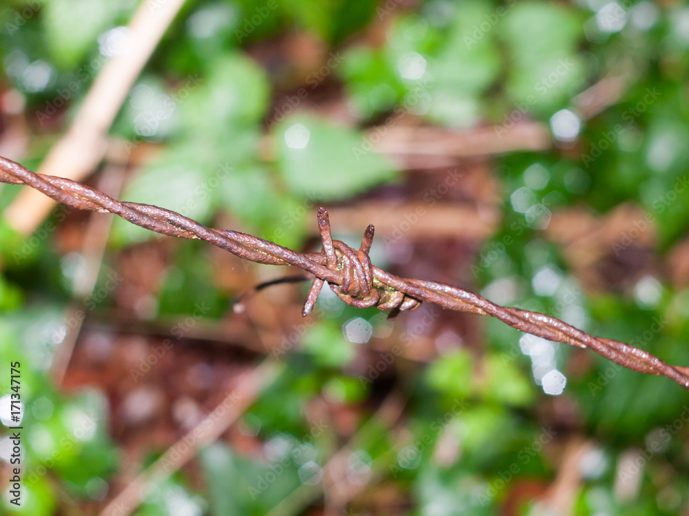 an old and brown rusty metal barbed wire an old and brown rusty metal barbed wire
