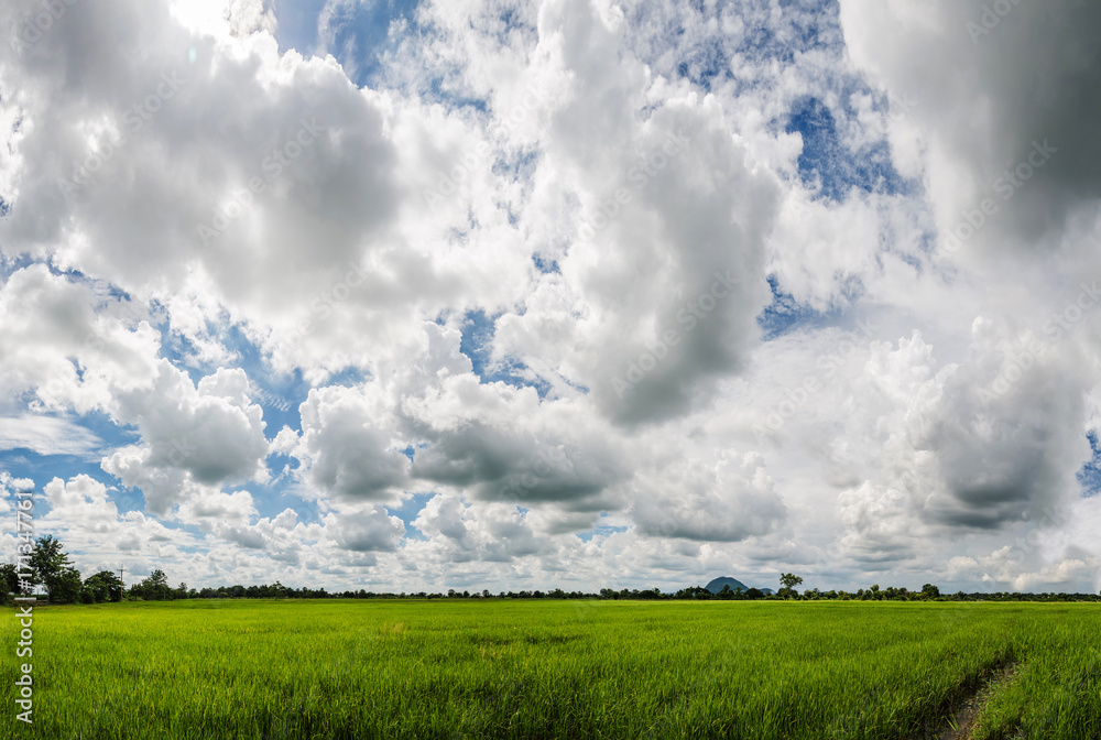 Landscape natural view of the sky in the meadow. In the rainy season Landscape natural view of the sky in the meadow. In the rainy season