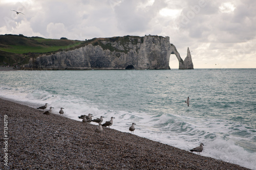 The beach and cliffs with seagulls of Etretat, Normandy on the French coast photo
