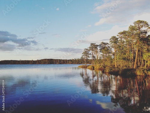 Bog lake in Estonia at sunset © kisakal