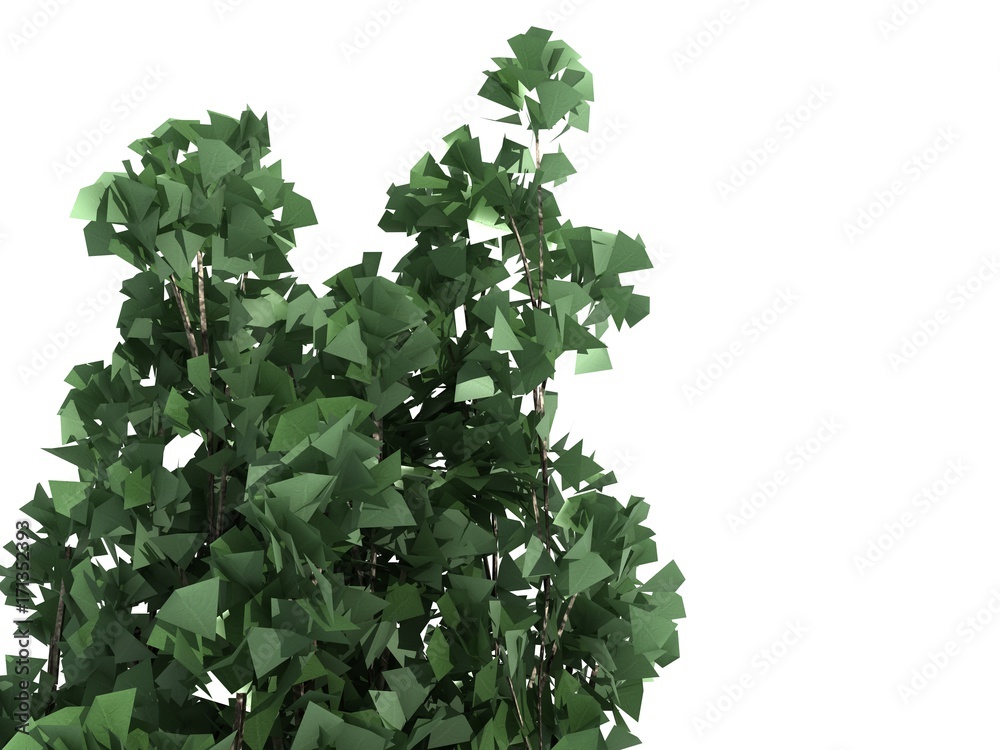 3d rendering of a realistic green tree foreground view isolated on white 3d rendering of a realistic green tree foreground view isolated on white