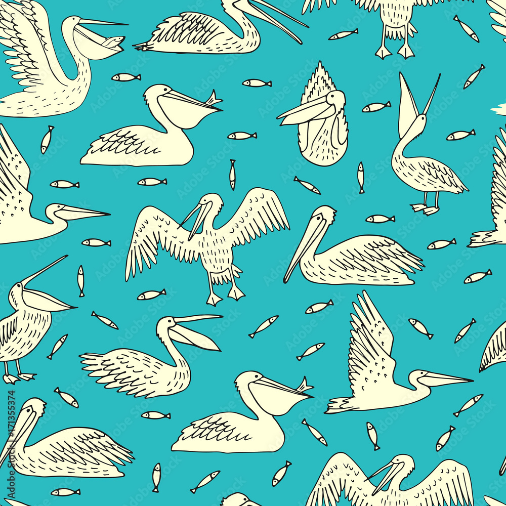 Fototapeta premium Pelicans, illustration, vector