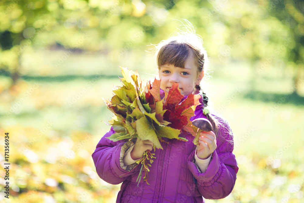 portrait of a girl in a park with a bouquet of leaves portrait of a girl in a park with a bouquet of leaves